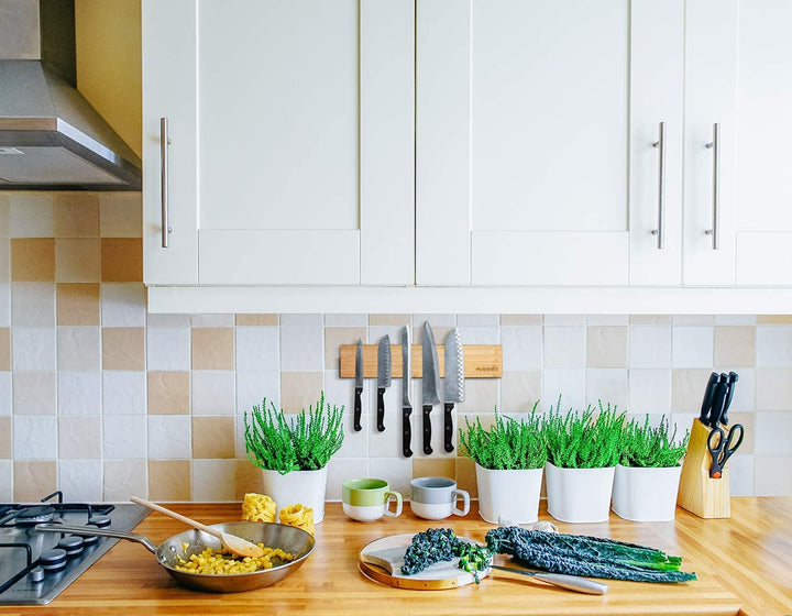 magnetic knife holder